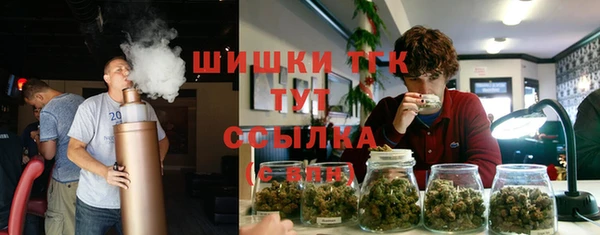твердый Ладушкин