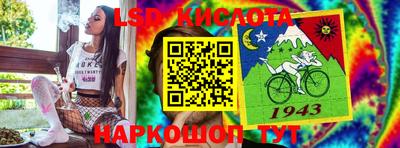 гидропоника Камышлов