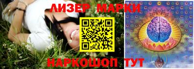 гидропоника Камышлов