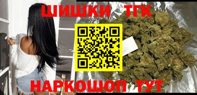 гидропоника Камышлов