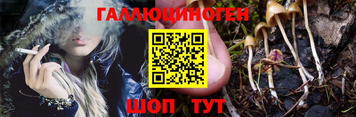 Псилоцибиновые грибы прущие грибы Пенза