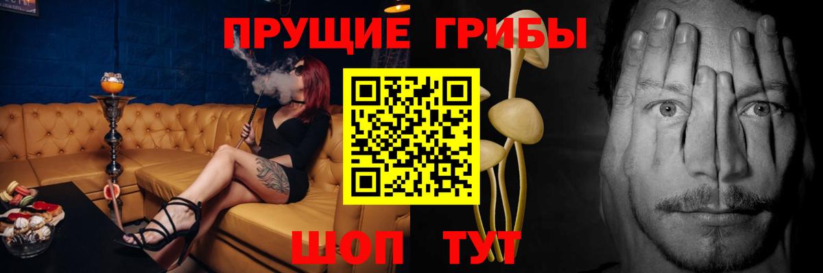 Пенза  Псилоцибиновые грибы MAGIC MUSHROOMS  Вход с VPN  Галлюциногенные грибы GOLDEN TEACHER 