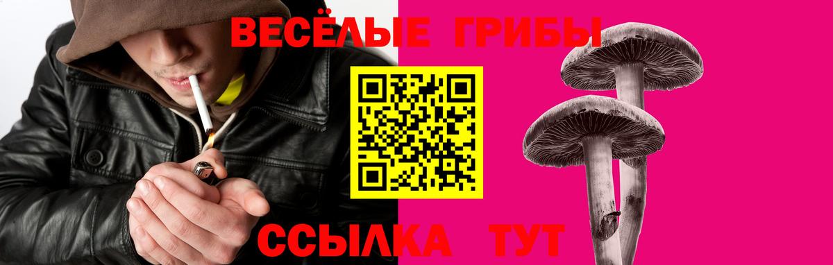 Галлюциногенные грибы GOLDEN TEACHER  наркотики  Пенза 